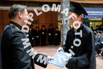 [foto]