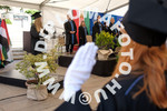 [foto]