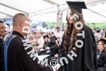 [foto]