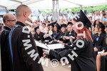 [foto]