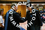 [foto]
