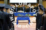 [foto]
